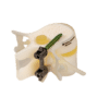 Digital anatomy