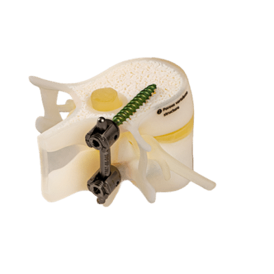 Digital anatomy